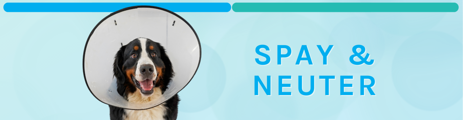 Spay_neuter_banner.png