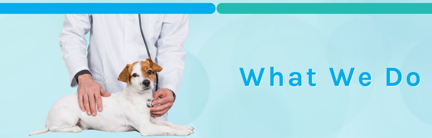 what_we_do.jpg