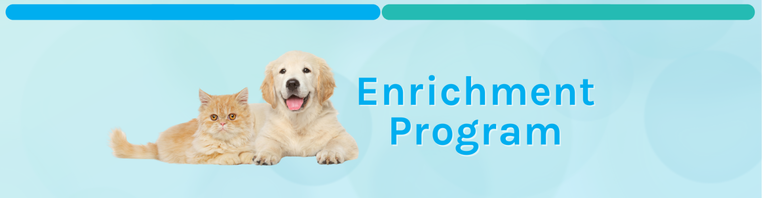 Enrichment_Banner-0001.png