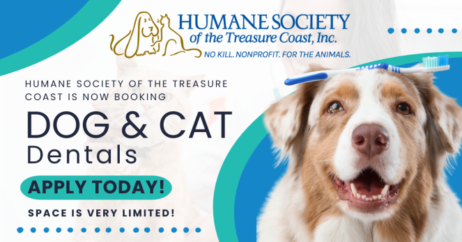 Humane_Society_of_the_treasure_coast_is_booking.png